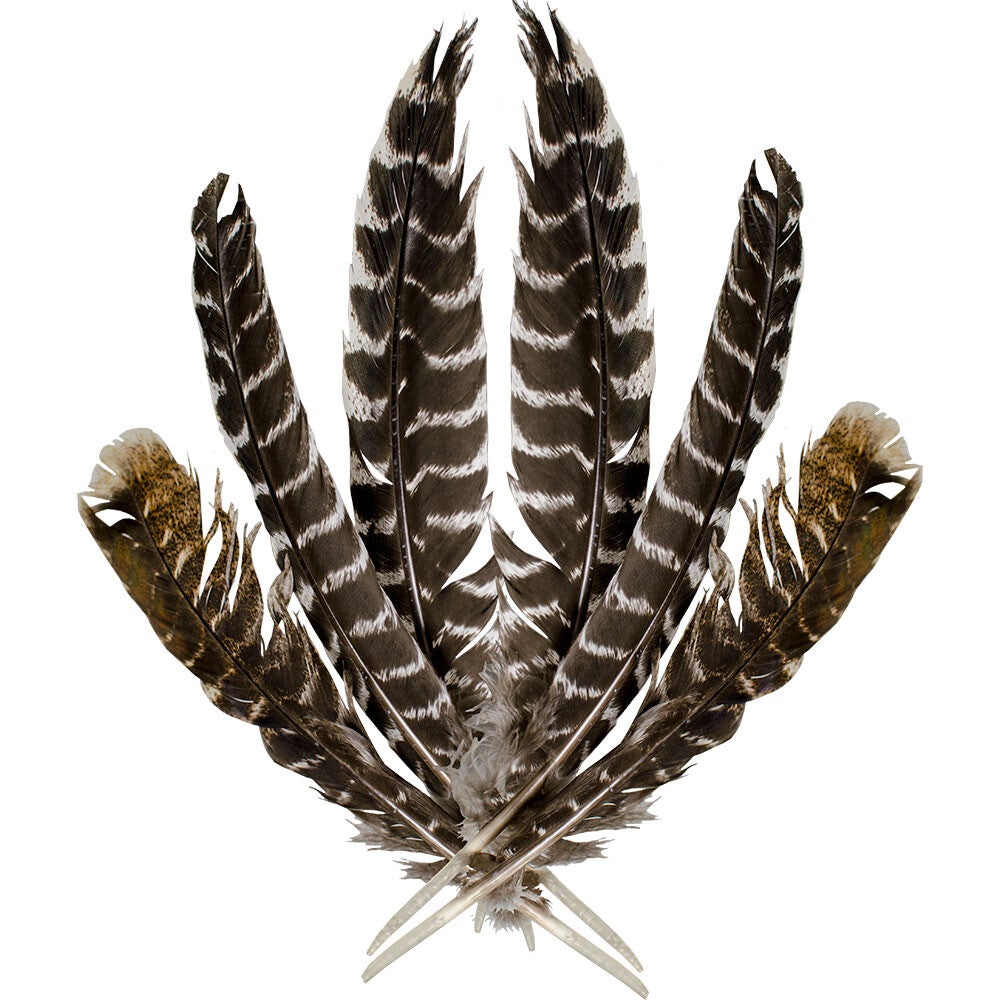 SMUDGING FEATHERS WITH LITTLE DEFECTS/8″-14″(EACH) / SMUDGE-PLUMES AVEC LEGERS DEFAUTS/8″-14″(UNITE)(CR)