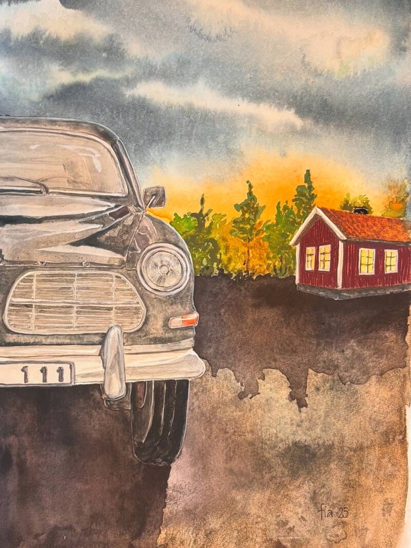 Amazon i solnedgång