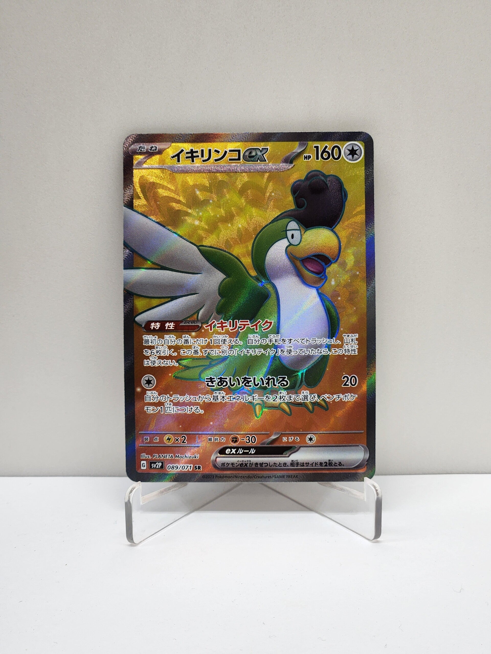 Snow Hazard  089/071 Squawkabilly Ex