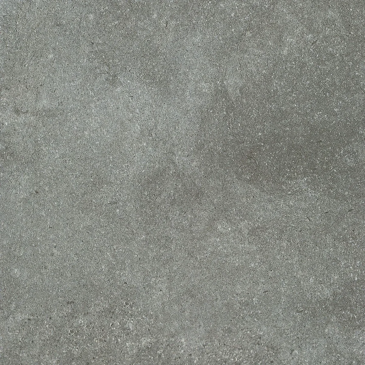 SAFFIER Avenue | Brooksville | PVC Tegel | 1164013