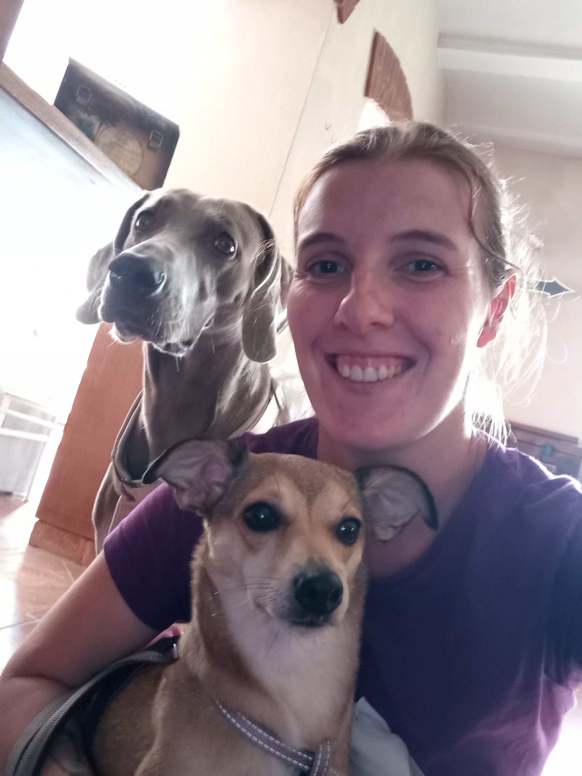 Mezz'ora di servizio wedding per due cani