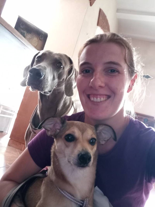 Mezz'ora di servizio wedding per due cani
