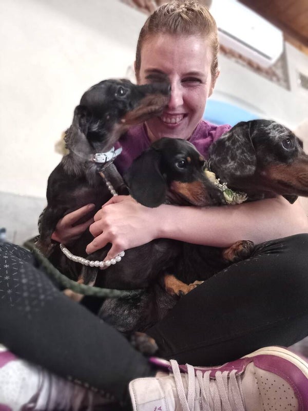 Mezz'ora di servizio wedding per un cane in location