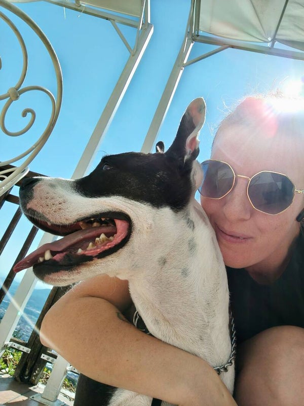Un ora di servizio wedding per 2 cani direttamente in location