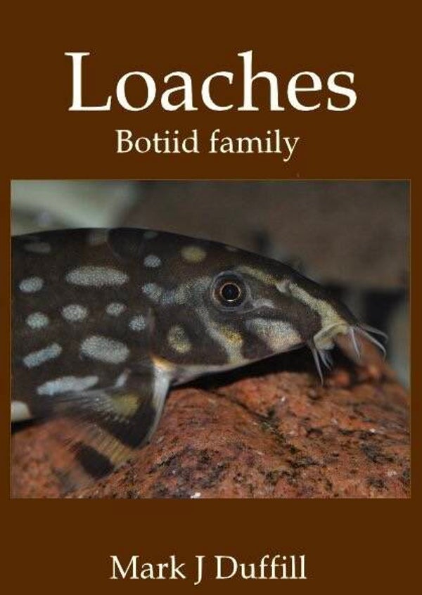 Botiid Family