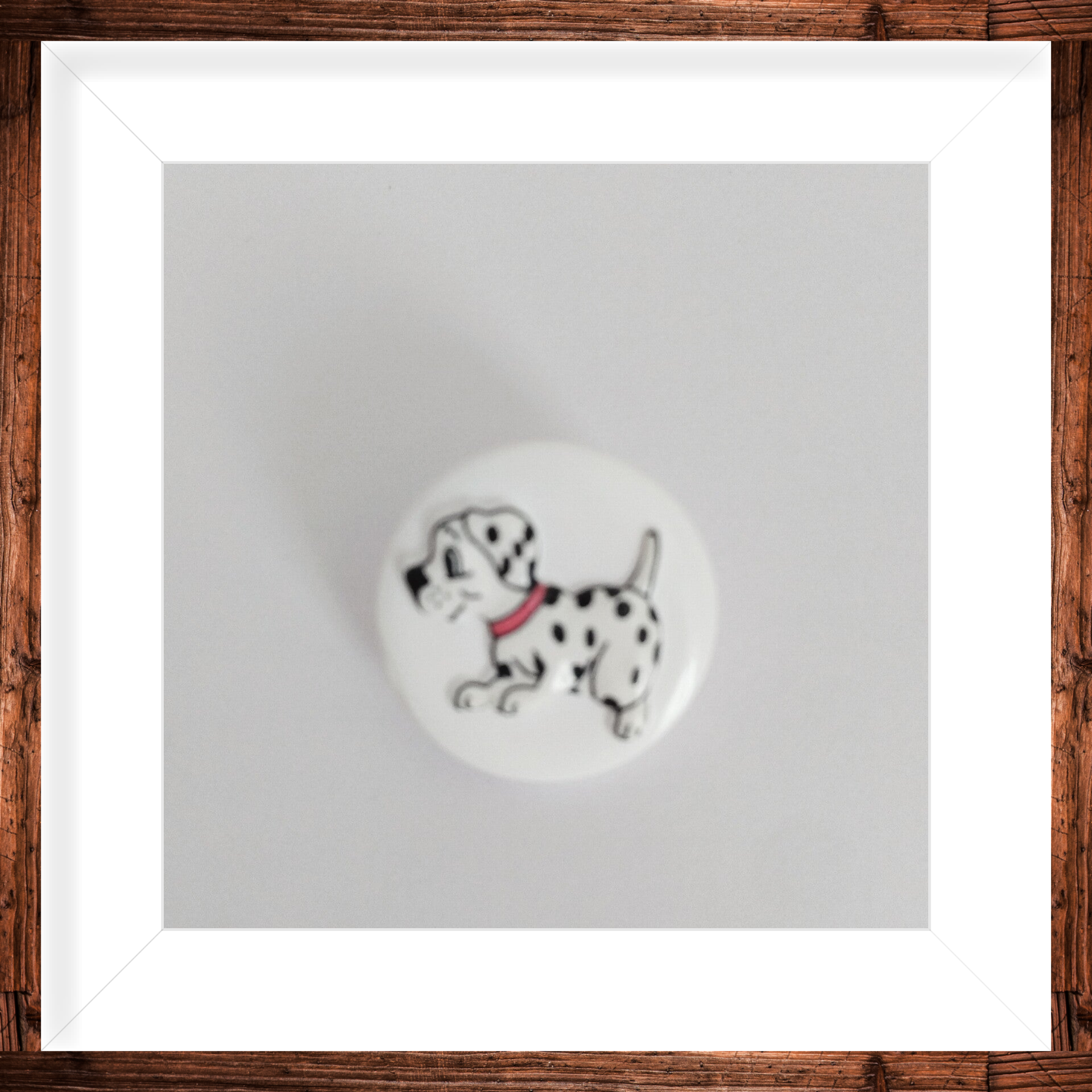Bouton rond dalmatien