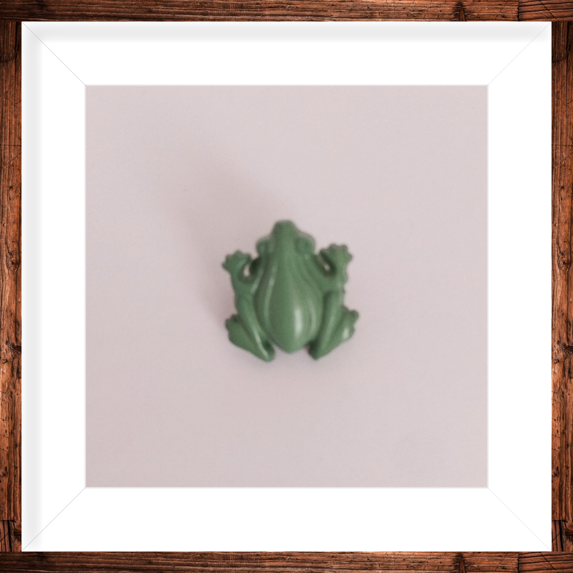 Bouton a pied grenouille verte