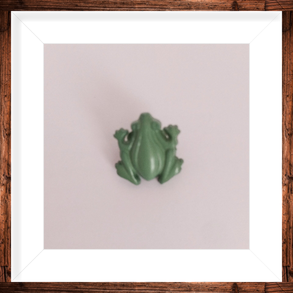 Bouton a pied grenouille verte