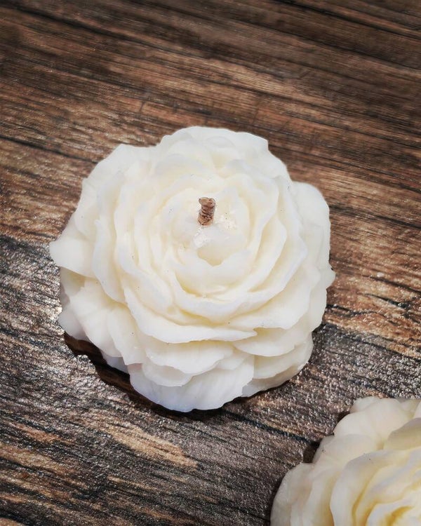 Pivoine parfumée