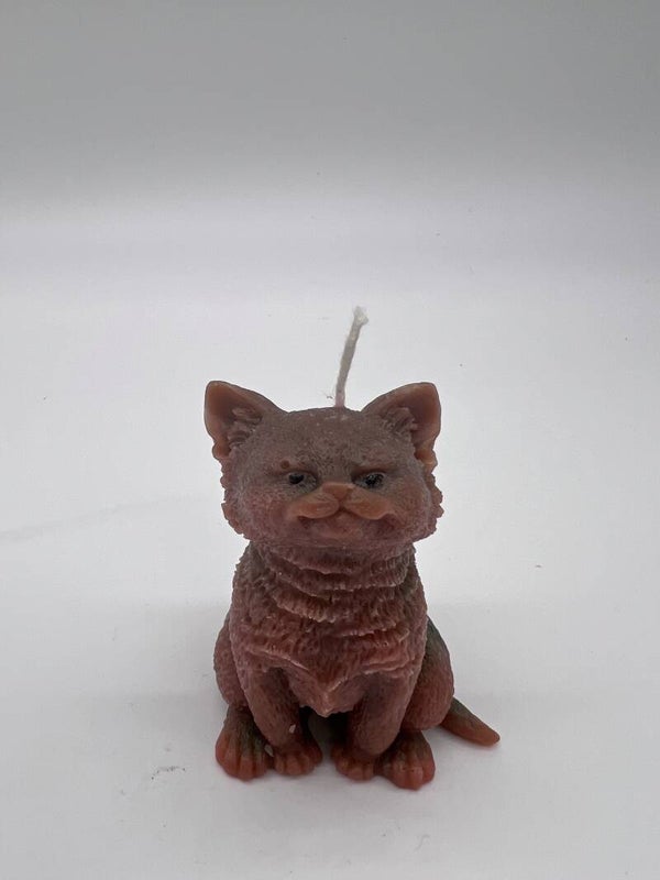 Katze sitzend