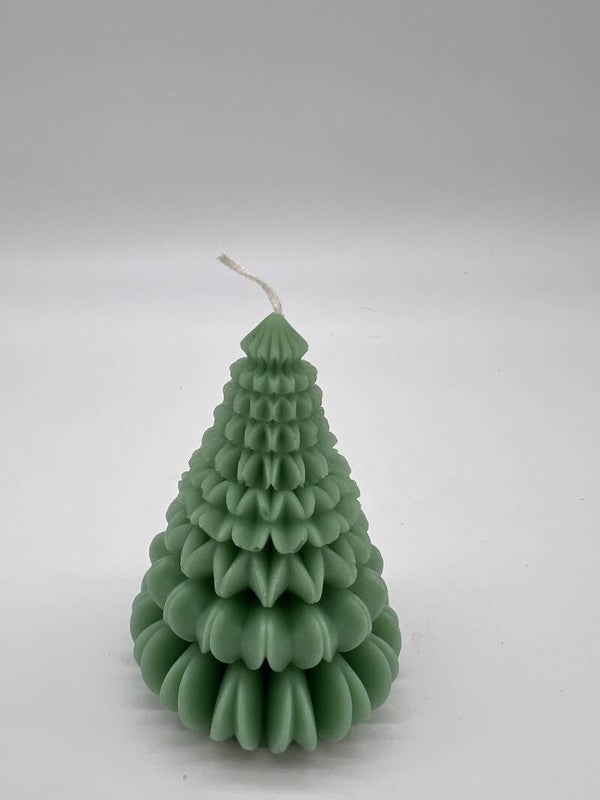Tannenbaum gross