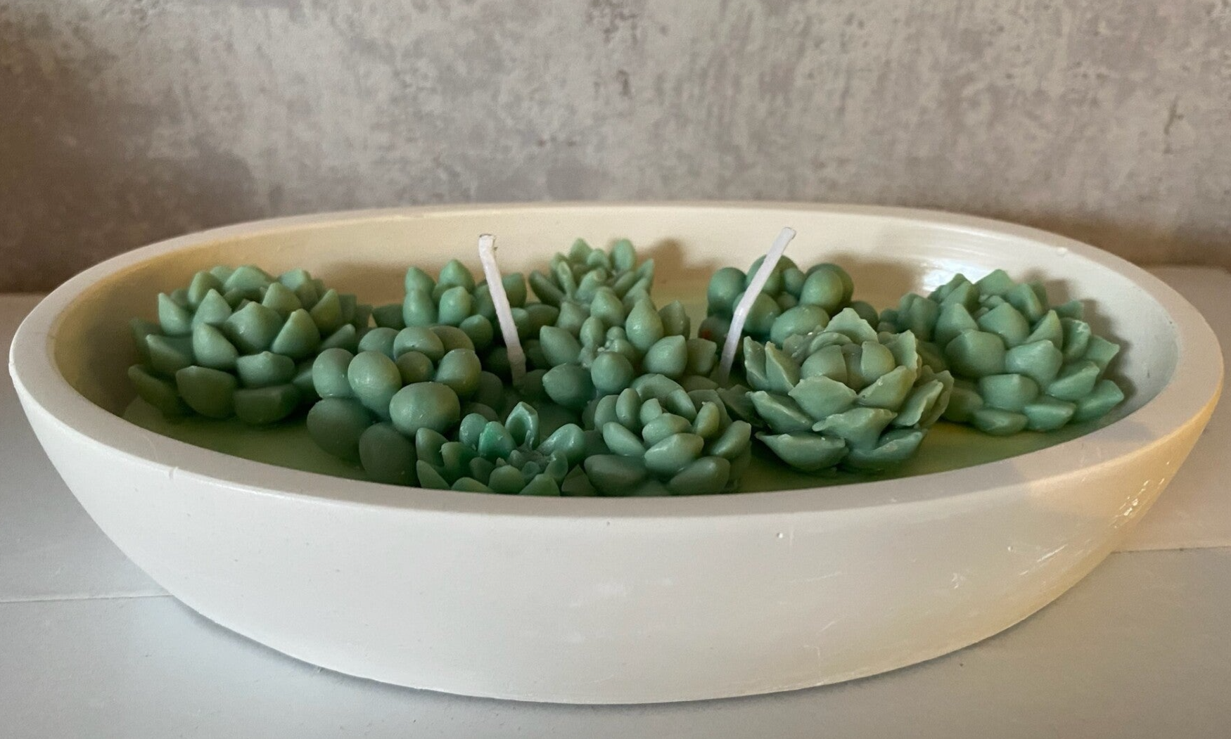 Succulent Garden Glow