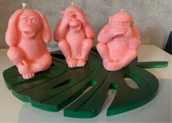 The Wise Monkeys Set