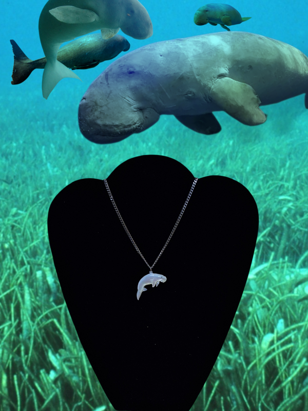 Dugong (Dhangal)