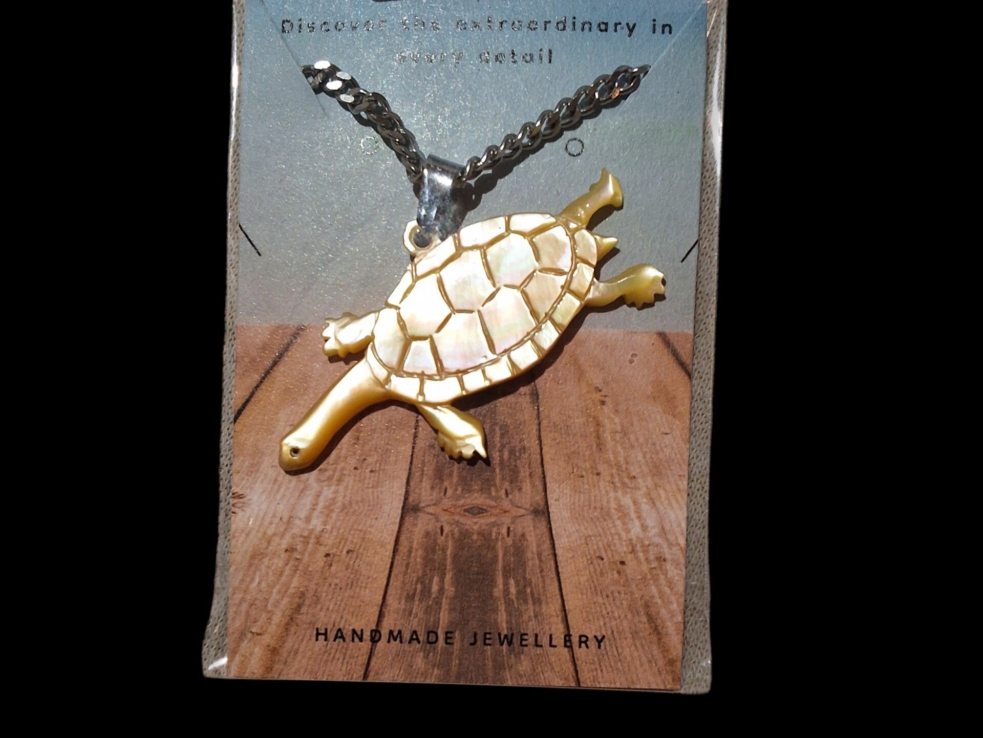 Freshwater long neck turtle