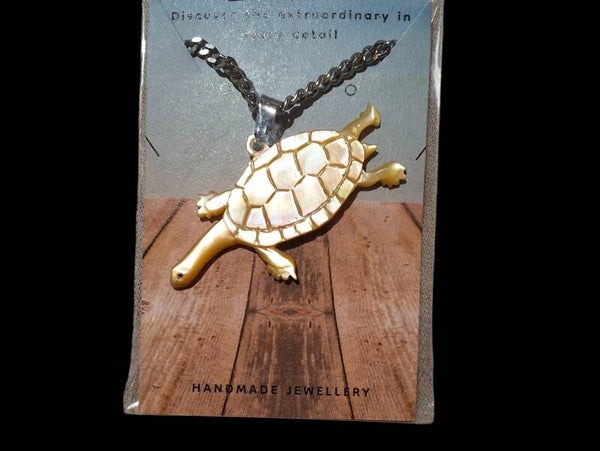 Freshwater long neck turtle