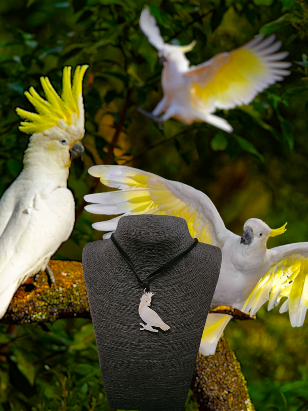 Cockatoo