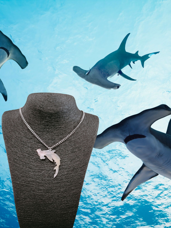 Hammerhead shark