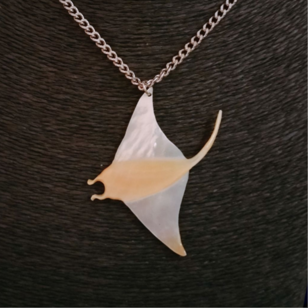 Manta Ray