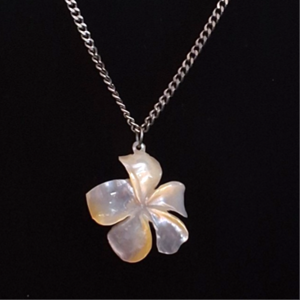 Franjipani (Plumeria)