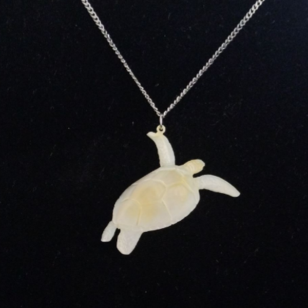 Turtle (Waru)