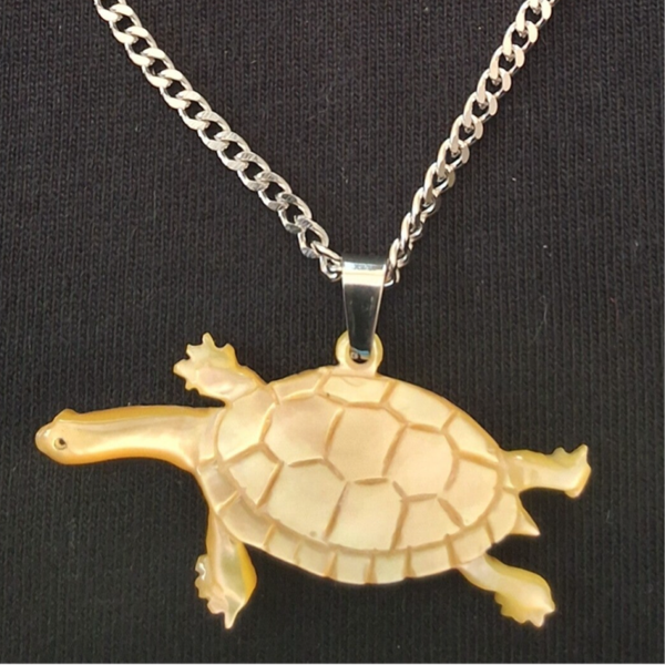 Freshwater long neck turtle