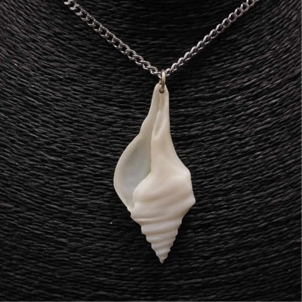 Trumpet shell (Bu)