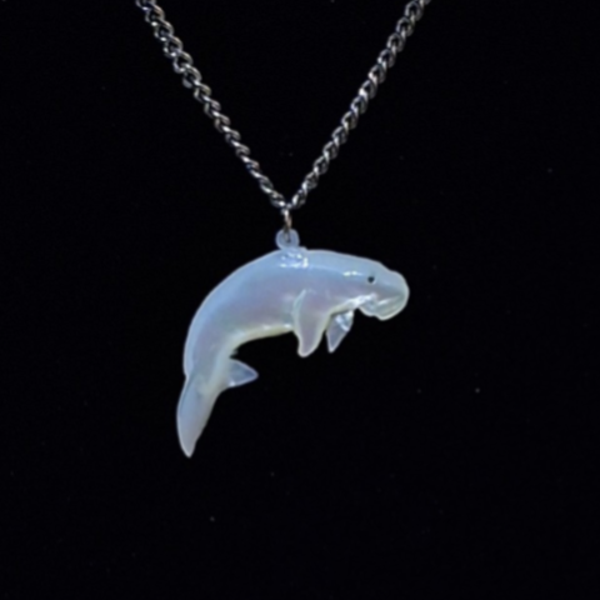 Dugong (Dhangal)