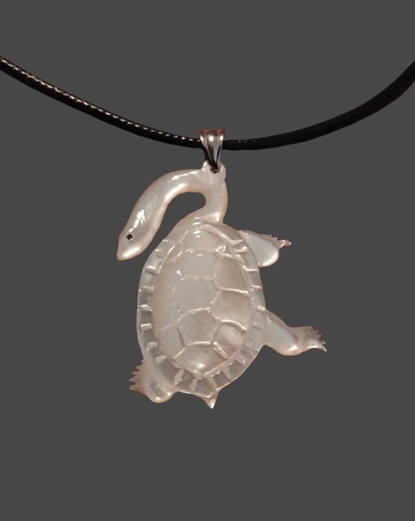 Freshwater turtle