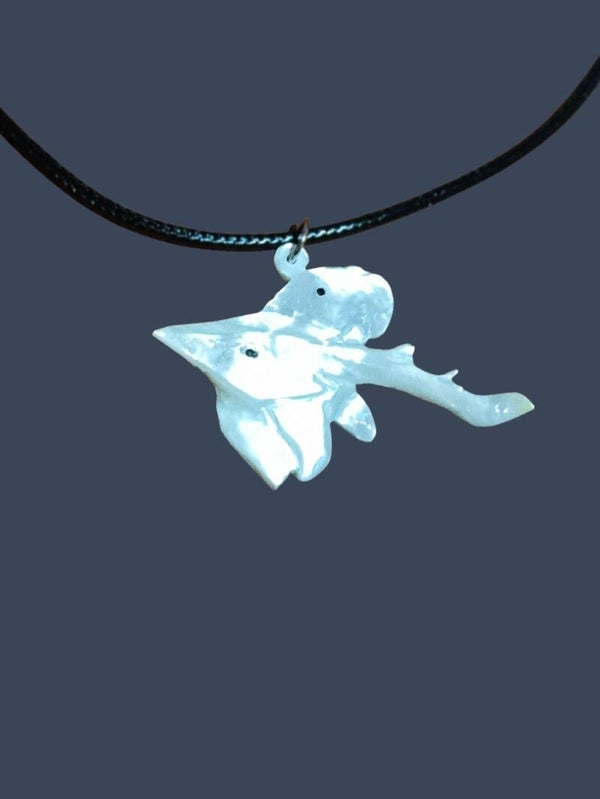 Shovelnose/Dugong