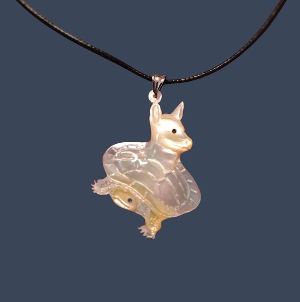 Freshwater turtle/Dingo