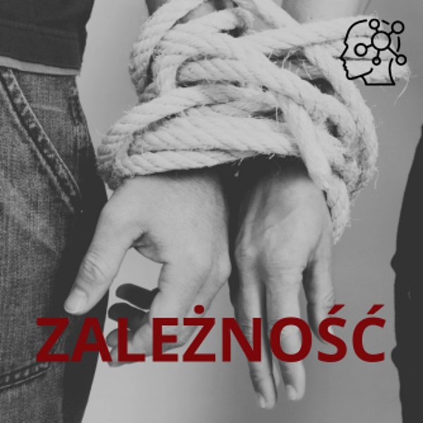 Warownia zależności