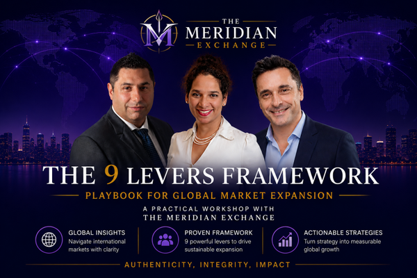 9 levers Framework Workshop