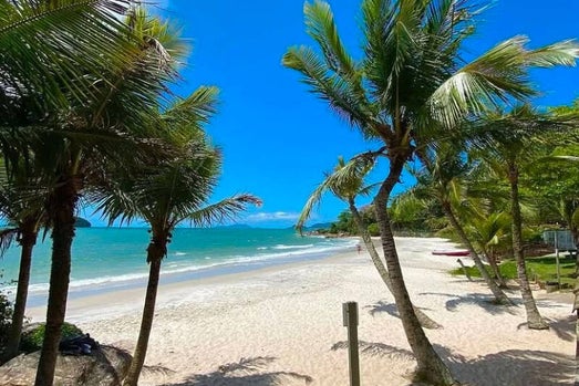 Strand in Florianopolis mit Palmen