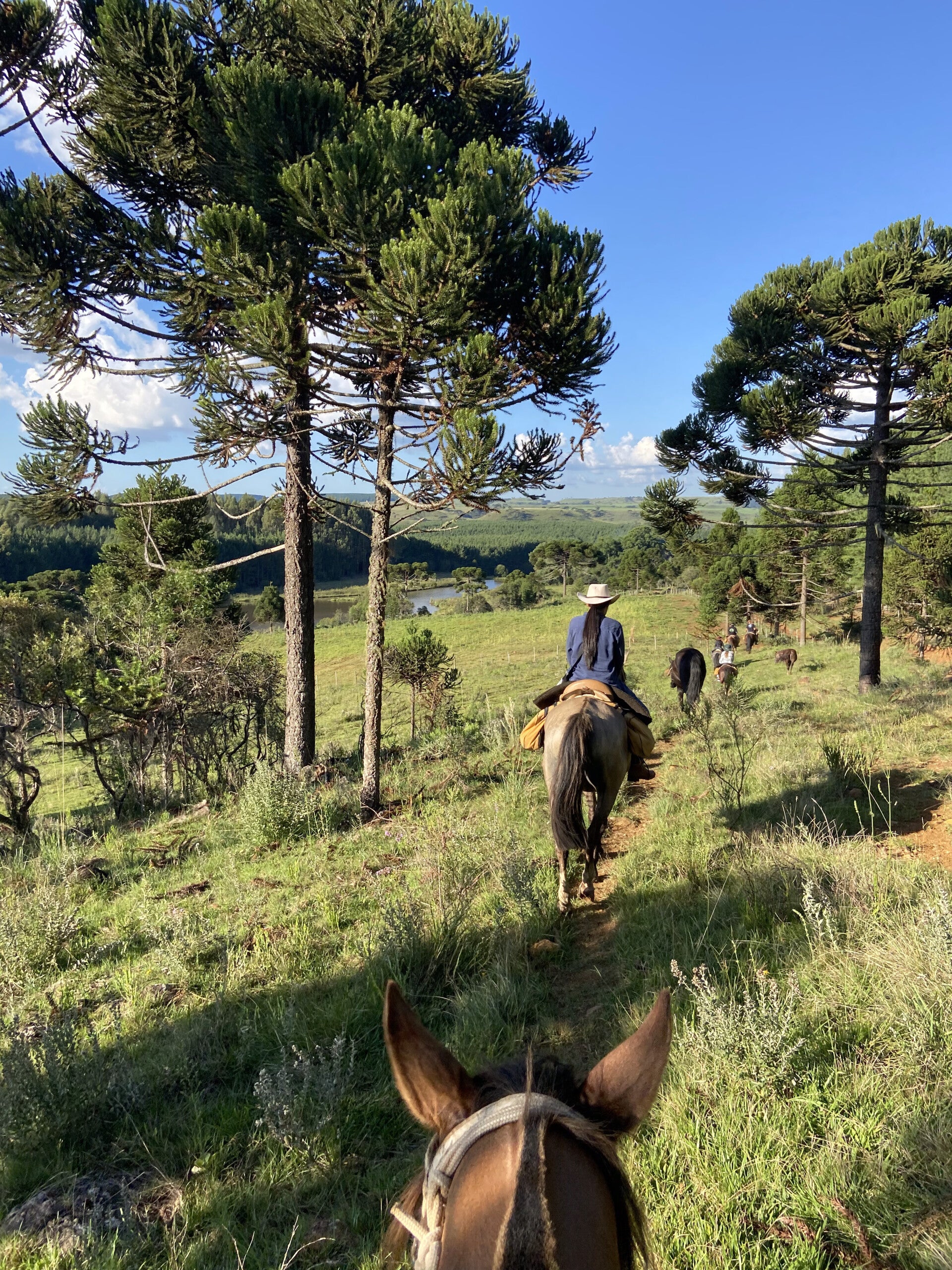 Eine Frau sitzt auf einem Pferd in der Serra Catarinense mit vielen Bäumen