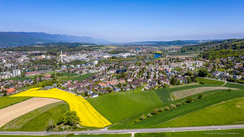 15_72_website-re_port_1500_72_dji_0433-standard.jpg