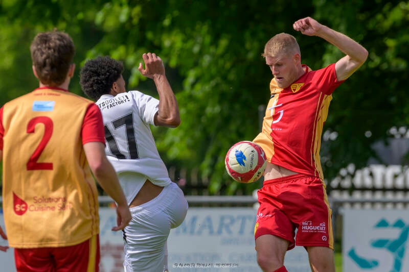 20_20260530-_adb8595-standard.jpg