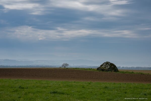 Eiszeitgeologische Wanderund