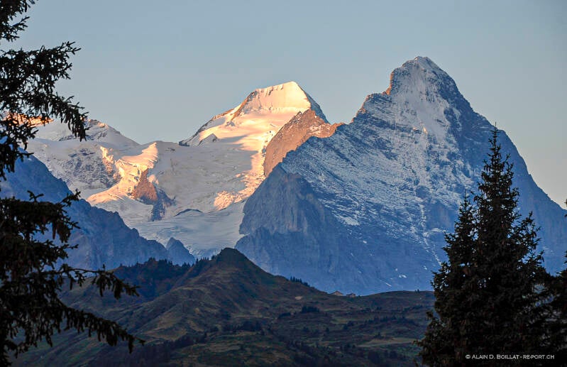 oweb_15_72_reichenbachtal__670-2-standard.jpg
