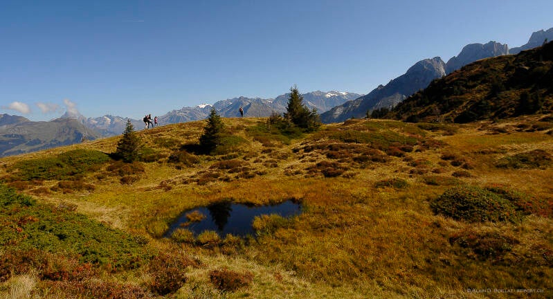 oweb_15_72_website-re_port_1500_72_reichenbachtal__509-standard-fieeyu.jpg