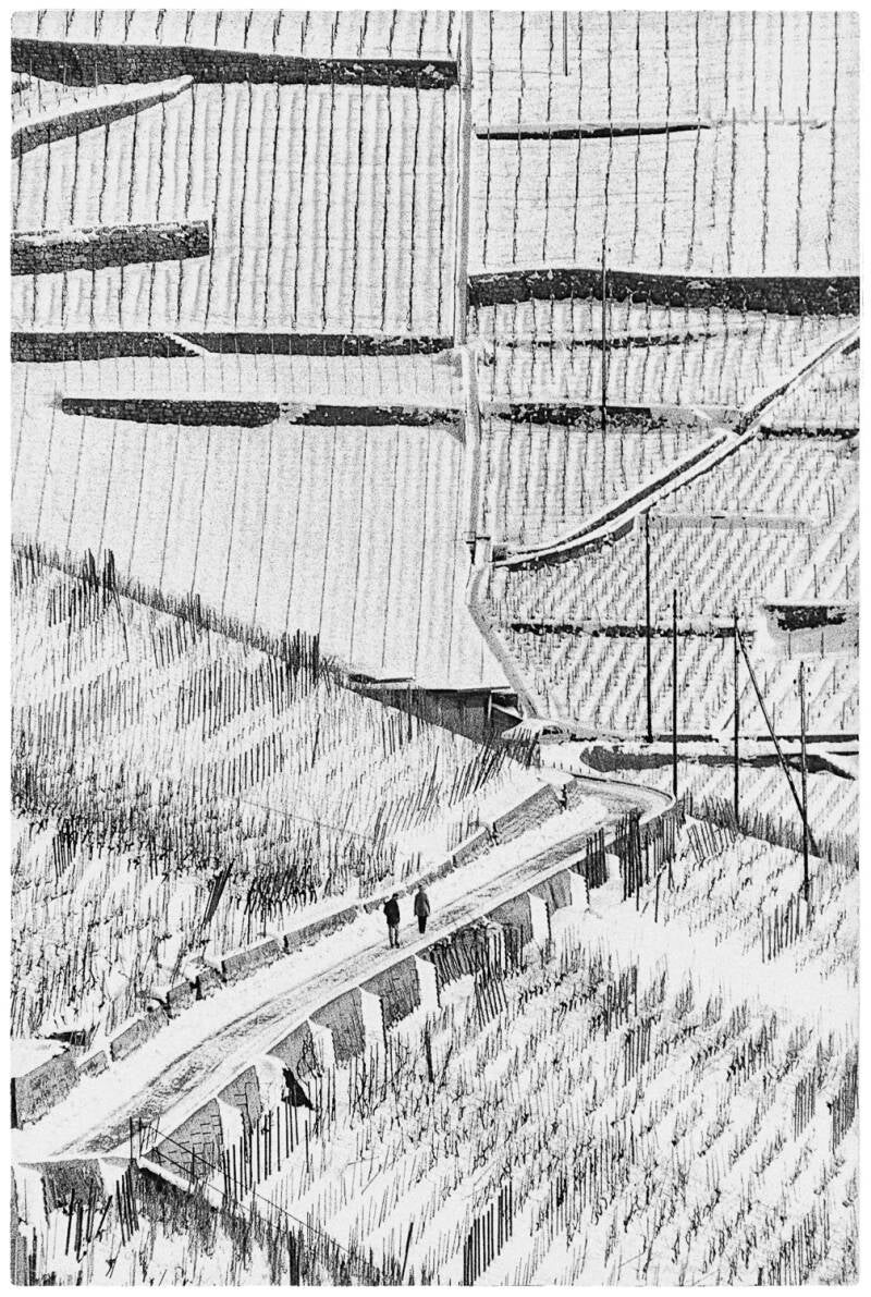 oweb_15_72_winter-wingreis-1986-bearbeitet-kopie-2-standard.jpg