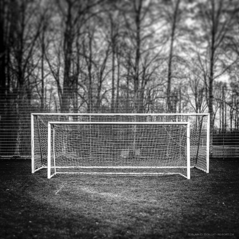 web_15_72_img_6084-standard-z4rc1p.jpg