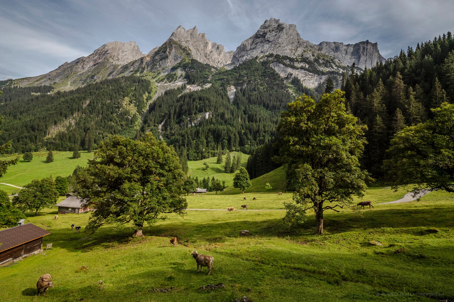 Natur und Landschaft