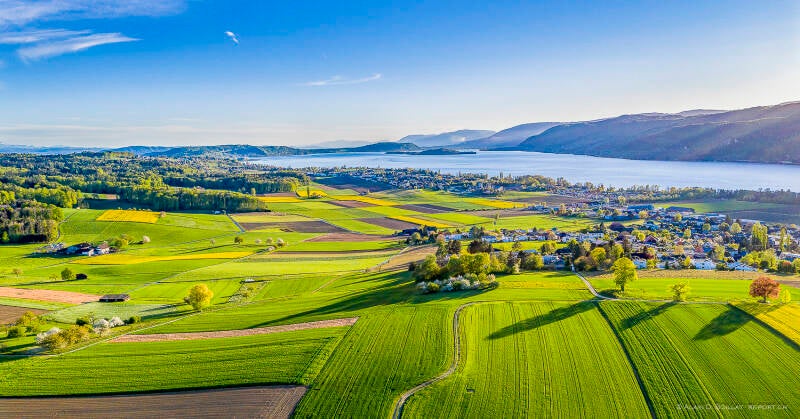 web_15_72_website-re_port_1500_72_orig55_dji_0420-standard.jpg