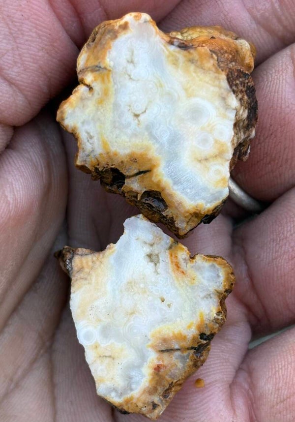 Eye Agate