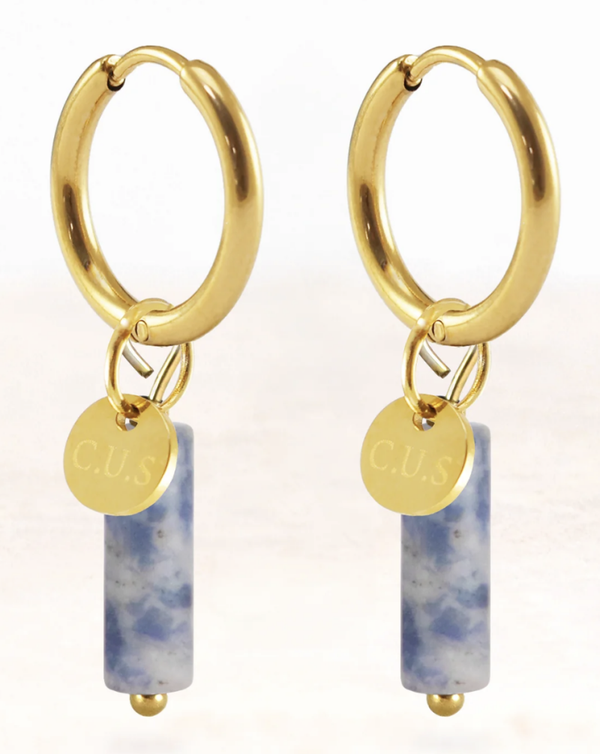 Gaia - Oorbellen Spot Sodalite