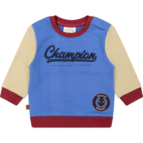 Handsome Academy Sweater Champion - Frogs & Dogs
