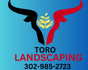 Toro landscaping