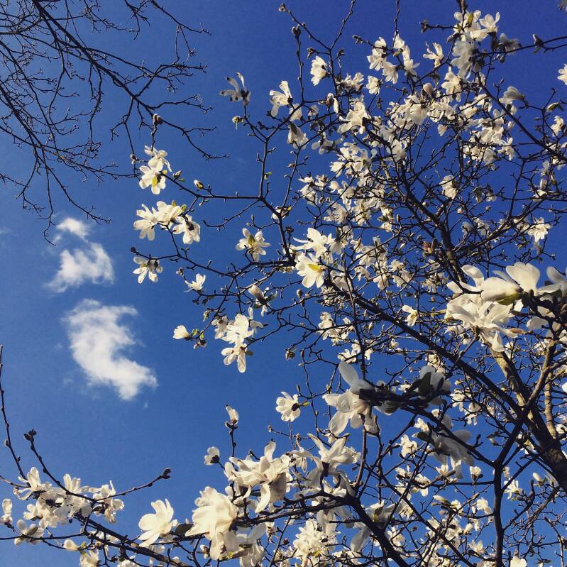 meer energie krijgen