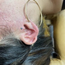 piercings-standard.jpg